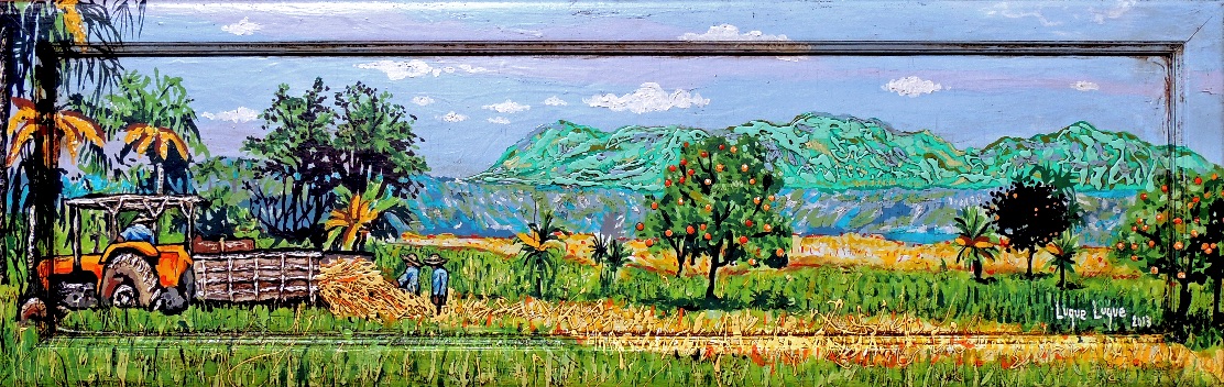 Rural 14